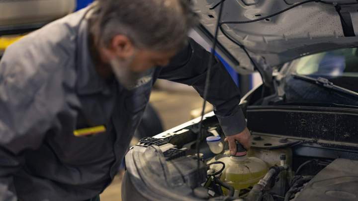 Arbalette Ville-Marie